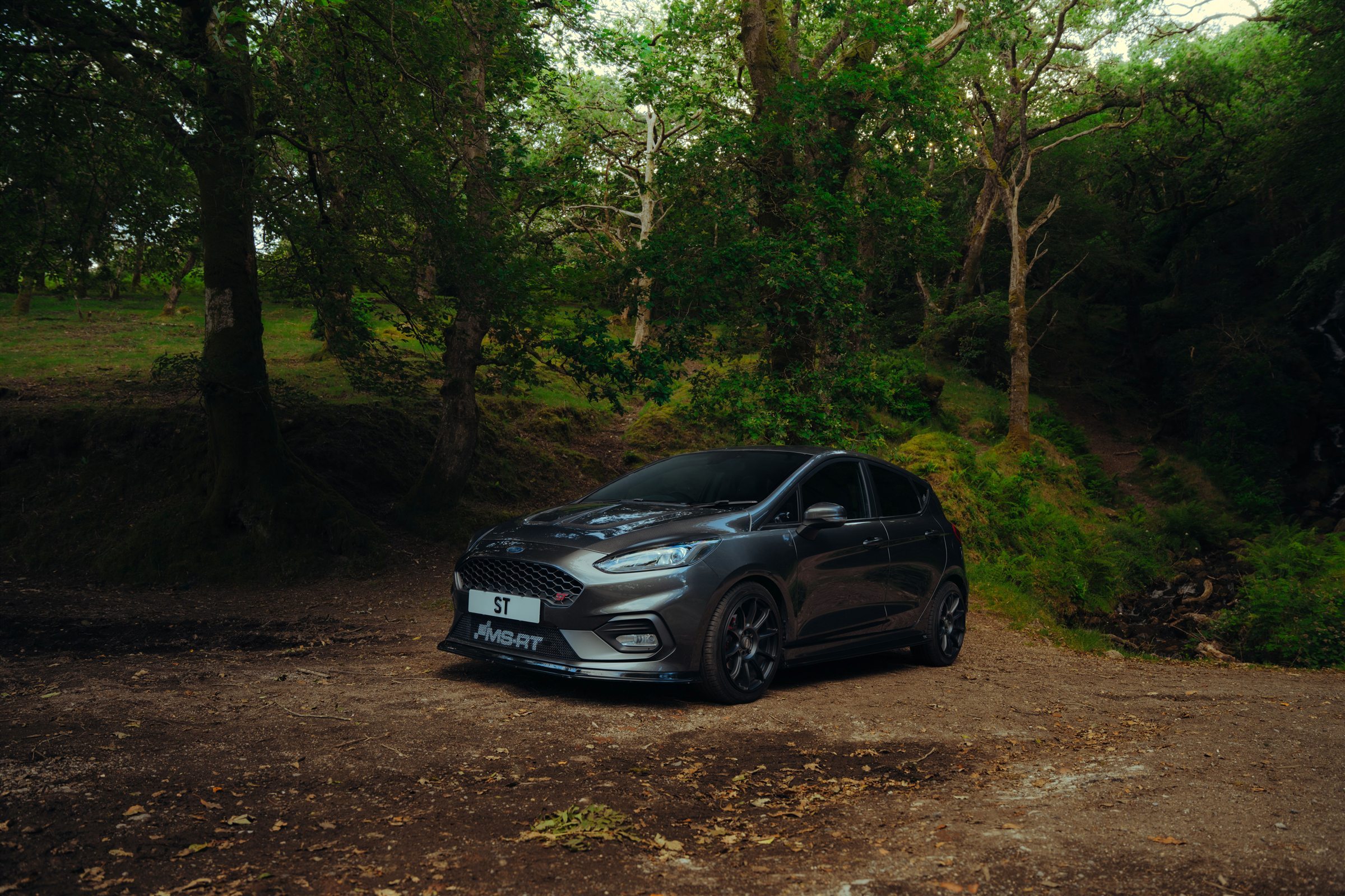 Ford Fiesta ST in a forest