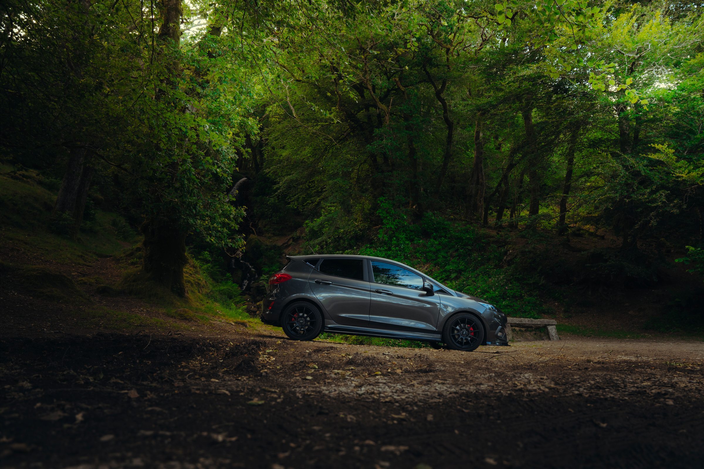 Ford Fiesta ST beneath the woodland canopy