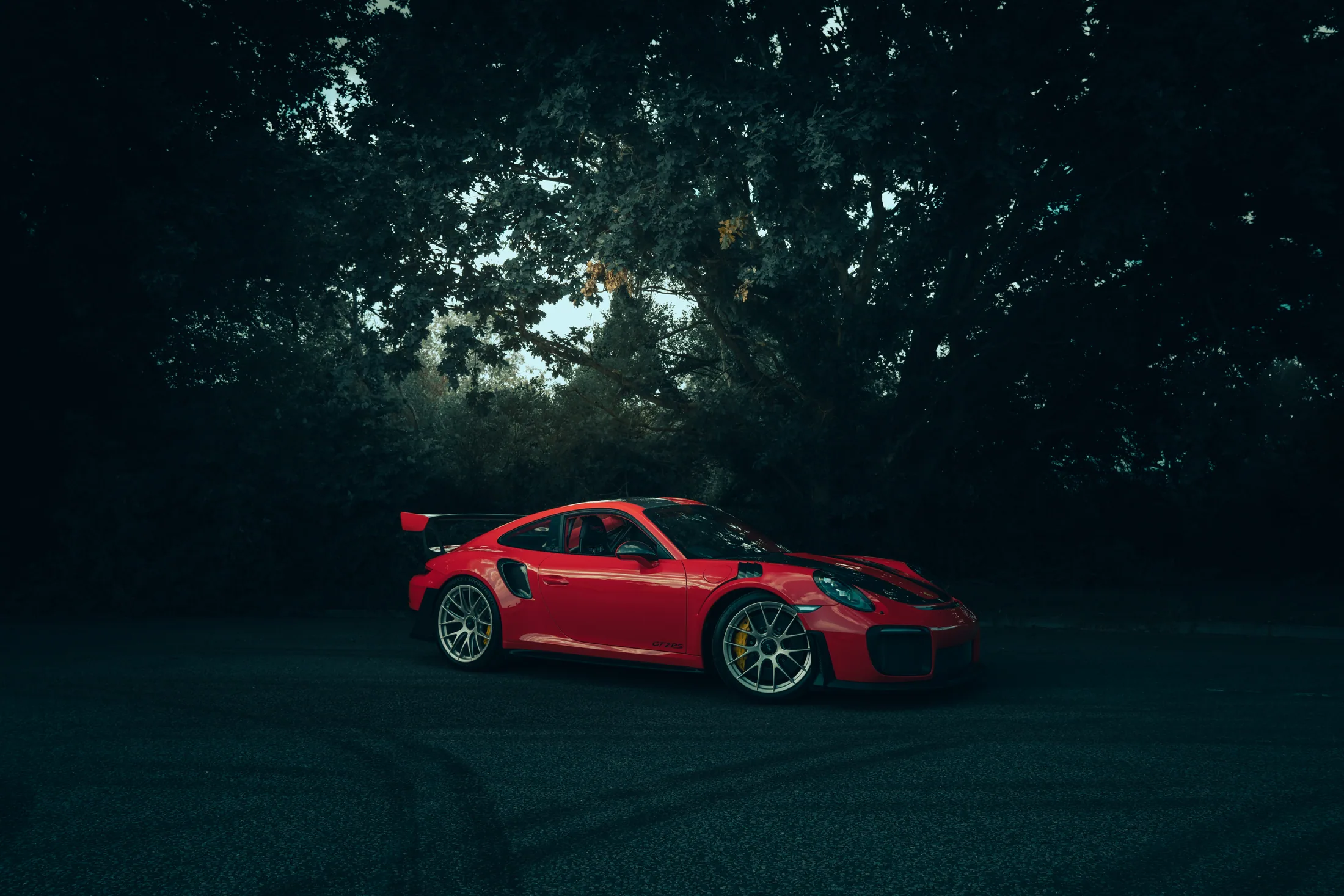 Porsche in a cinematic landscape